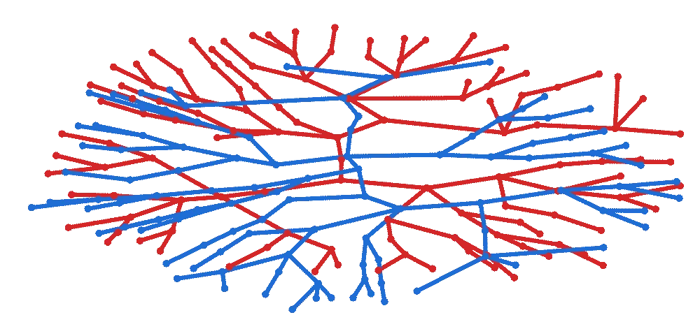Network diagram of the CISAI community, branching outward from a central hub